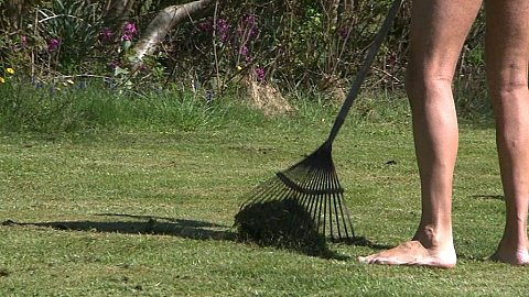 Billeder af naturister