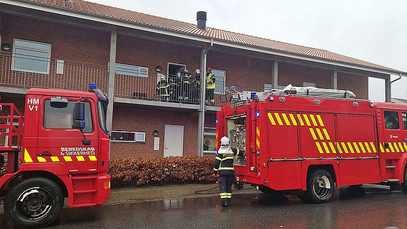 Røgdykkere i aktion: To hunde reddet ud af brændende lejlighed