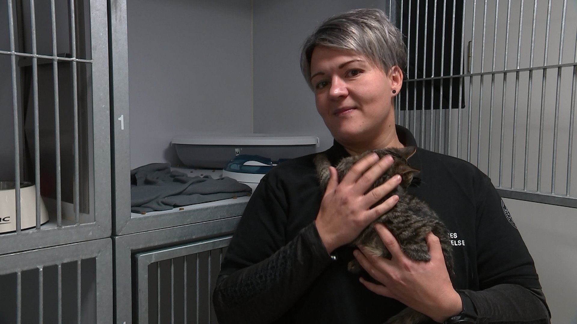Dyrlæge fik nok af aflivninger – nu sørger hun til tusindvis af katte | TV MIDTVEST