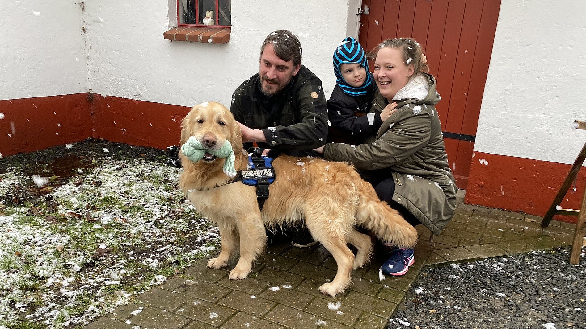 hunde overlevede to uger i dødsbo: Nu har den sidste fundet et hjem | TV