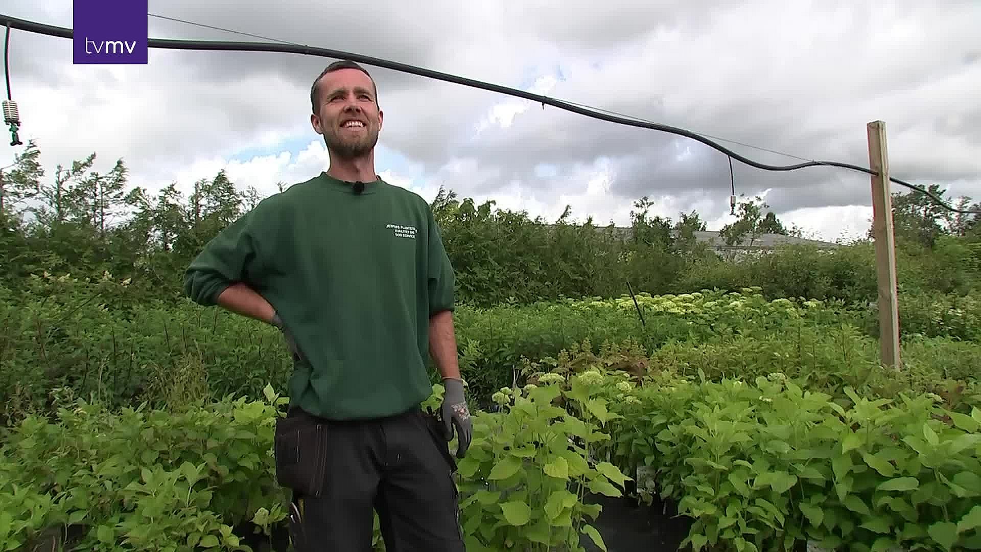 Fast Arbejde: Jespers Planteskole - Fast Arbejde | TV MIDTVEST