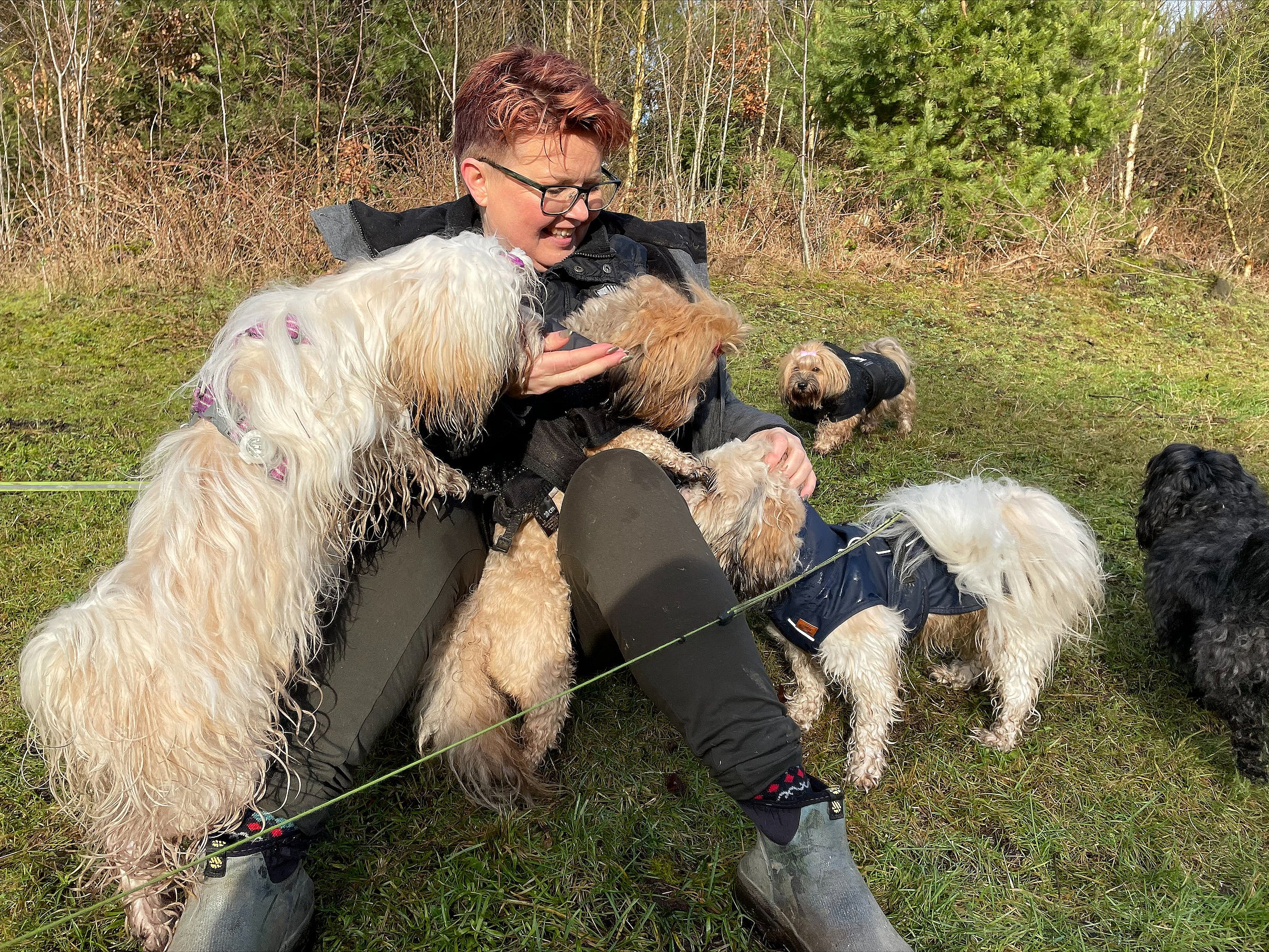 Udlevering indtil nu Wow Hotel for hunde: - Der bliver sorteret med hård hånd | TV MIDTVEST