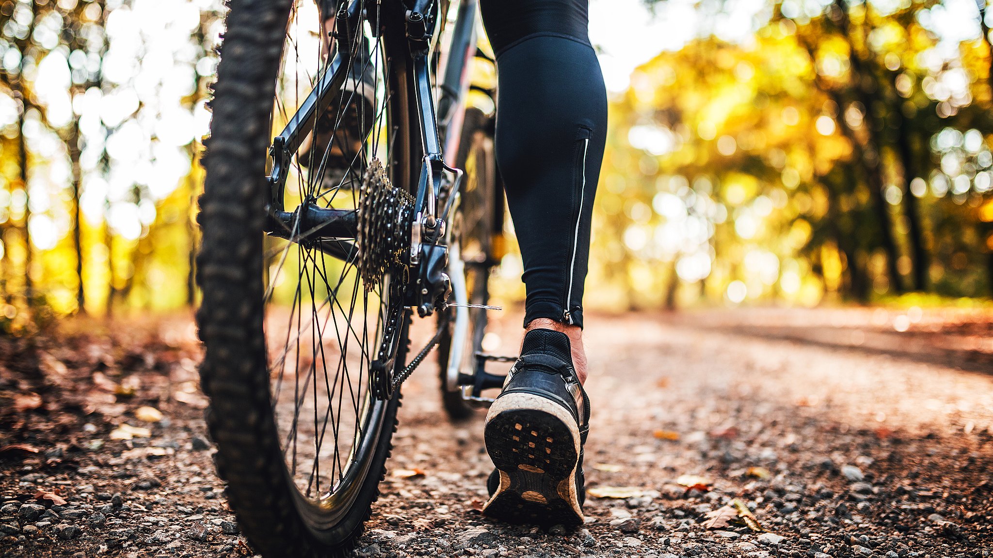 valg jeg fandt det undskyld En ekstra kilometer på cykel betaler sig for samfundet | TV MIDTVEST