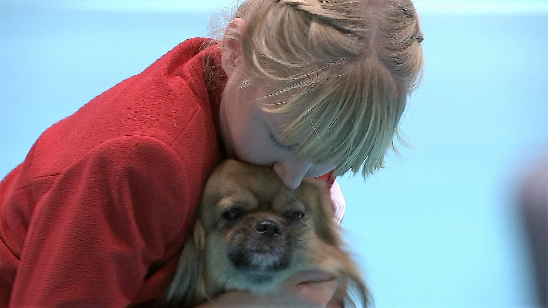 12-årige Frederikke fremviser hunde: - Det kræver meget træning | TV