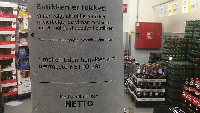 Mistanke Om Skadedyr Lukker Netto I Lemvig | TV MIDTVEST