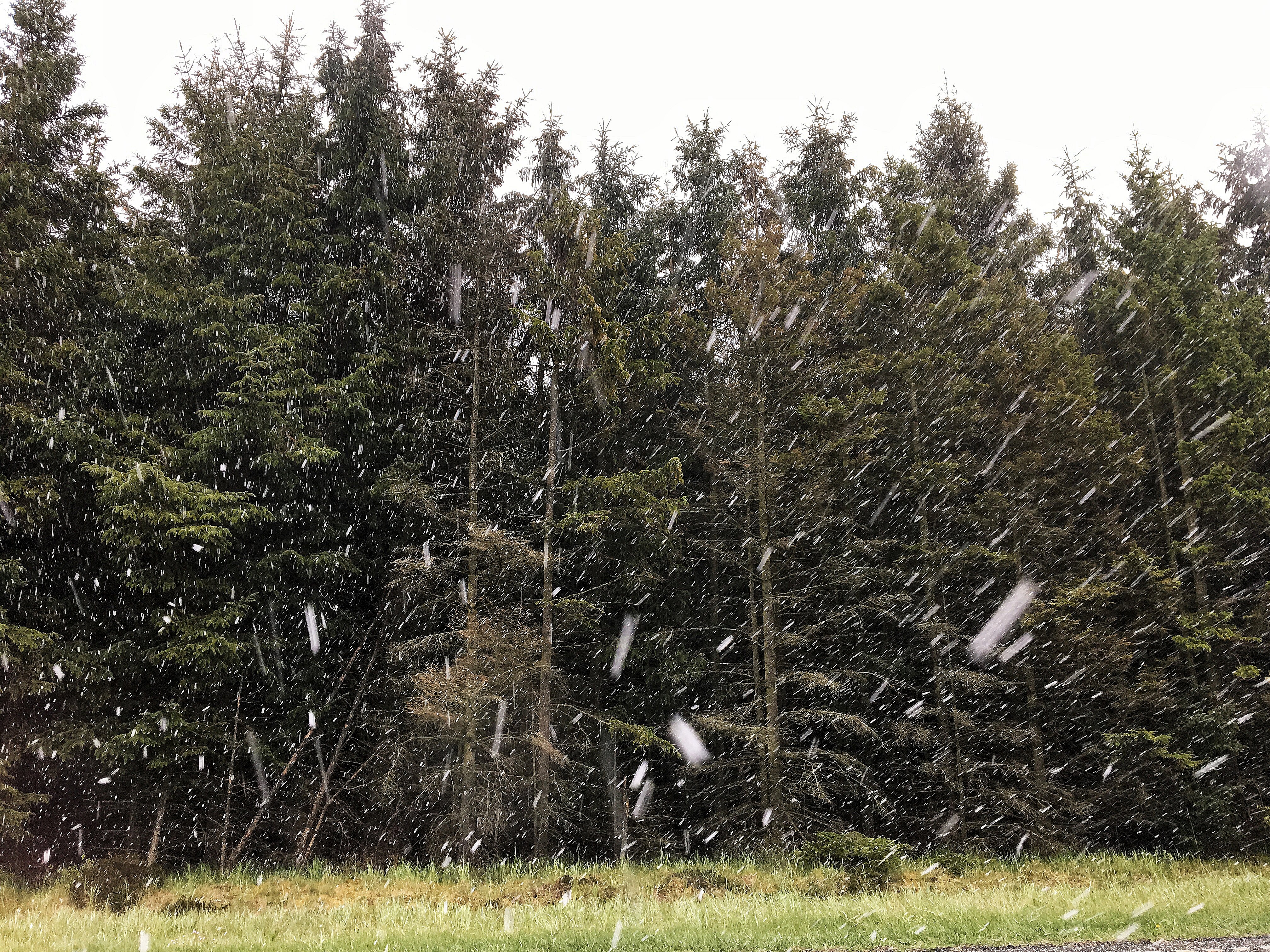 Vinterens første sne falder flere steder i landet fredag TV MIDTVEST